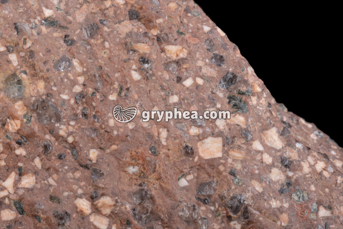 Rhyolite (détail) - gryphea.org